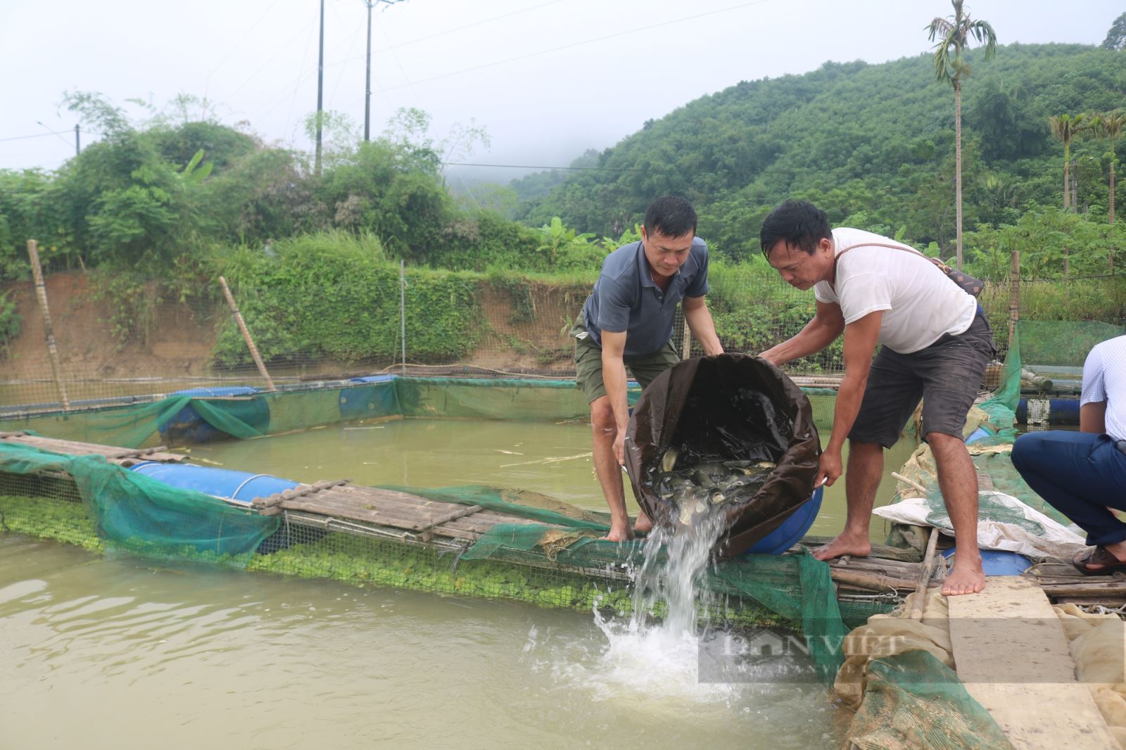 Tận dụng diện tích mặt nước của lòng hồ thủy điện Phúc Long trên sông Chảy, nhiều hộ dân ở thị trấn Phố Ràng, huyện Bảo Yên, tỉnh Lào Cai phát triển mô hình nuôi cá lồng, nâng cao thu nhập.